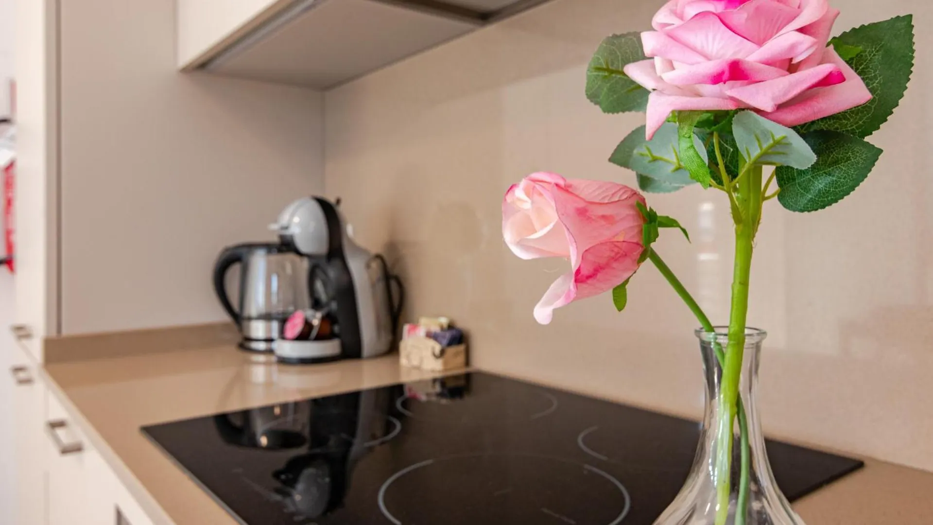 Ltapartments - Monolocale Con Parking A 10 Minuti Dalla Torre Pisa Italy